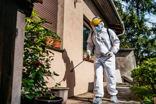 Best Pest Control Near Me in Buckner, MO