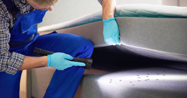 Best Affordable Pest Control Services  in Buckner, MO