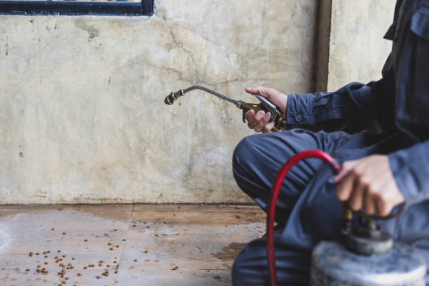Best Emergency Pest Control  in Buckner, MO
